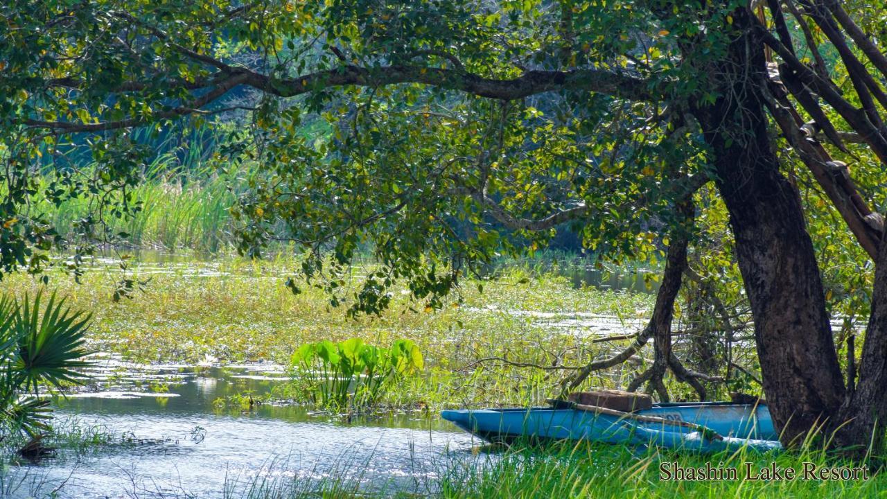 Shashin Lake Resort Дамбулла Экстерьер фото